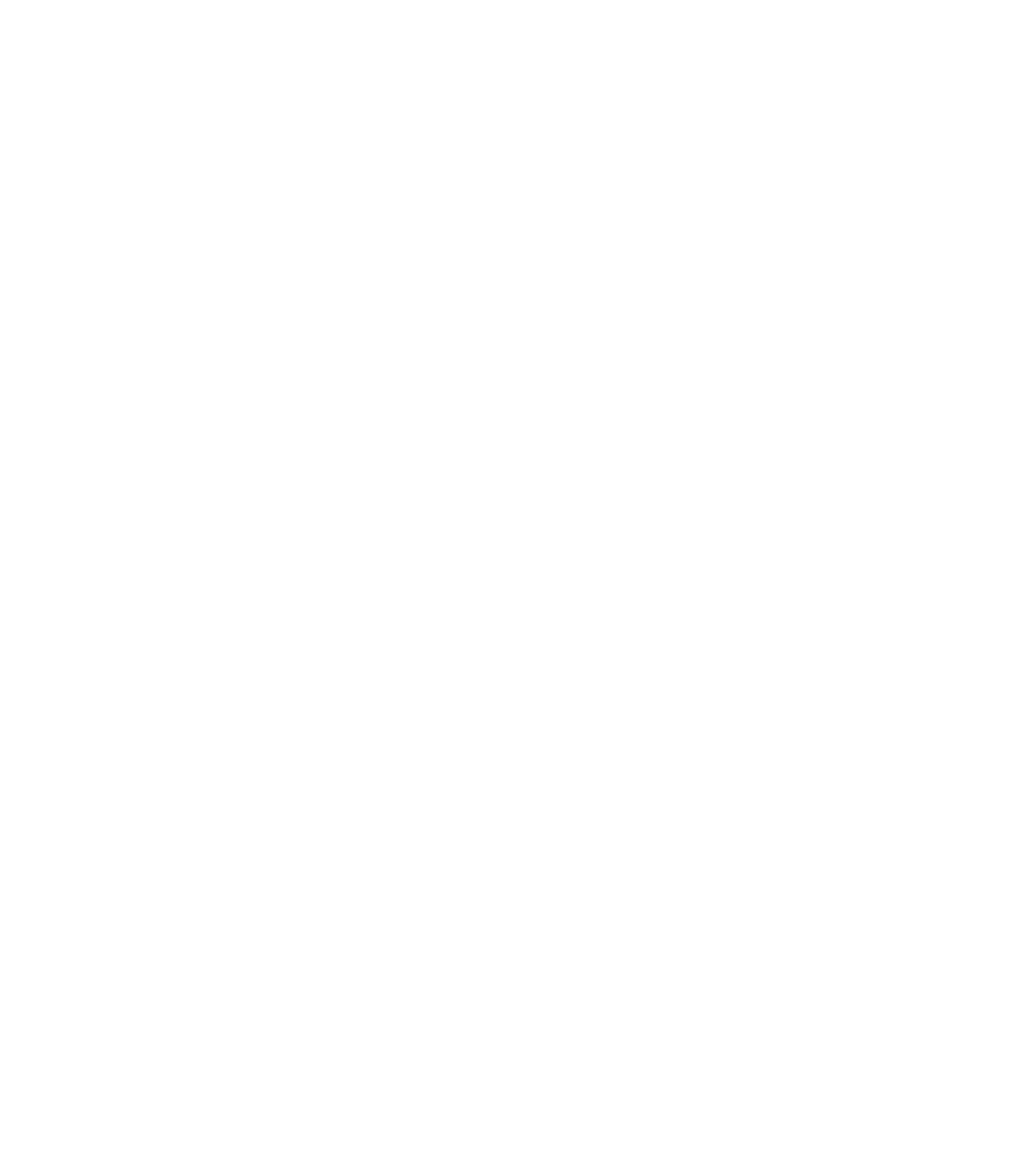 Excelsior Self Defense & Fitness
